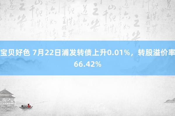 宝贝好色 7月22日浦发转债上升0.01%，转股溢价率66.42%