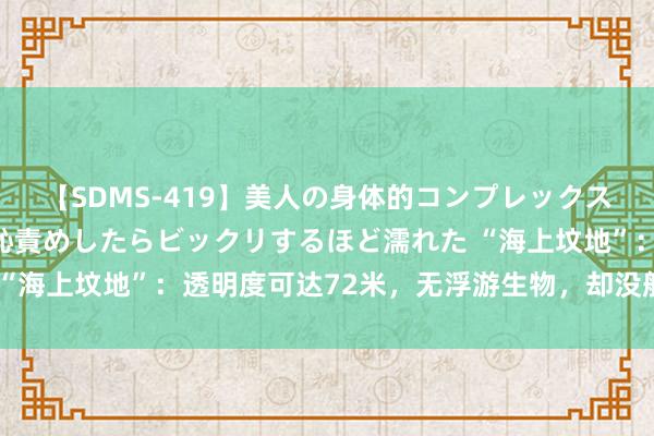 【SDMS-419】美人の身体的コンプレックスを、じっくり弄って羞恥責めしたらビックリするほど濡れた “海上坟地”：透明度可达72米，无浮游生物，却没船只敢谈判