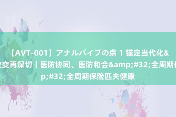 【AVT-001】アナルバイブの虜 1 锚定当代化&#32;改变再深切｜医防协同、医防和会&#32;全周期保险匹夫健康