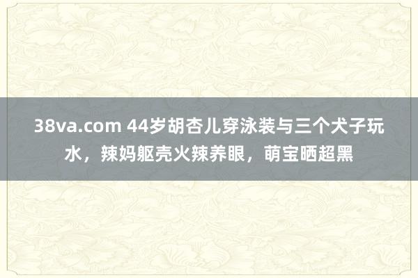 38va.com 44岁胡杏儿穿泳装与三个犬子玩水，辣妈躯壳火辣养眼，萌宝晒超黑