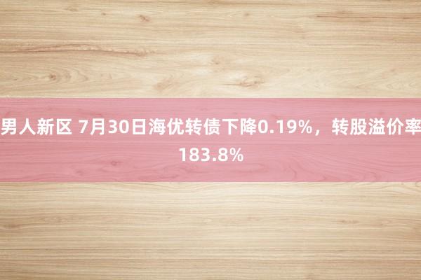 男人新区 7月30日海优转债下降0.19%，转股溢价率183.8%