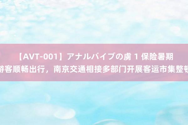 【AVT-001】アナルバイブの虜 1 保险暑期游客顺畅出行，南京交通相接多部门开展客运市集整顿