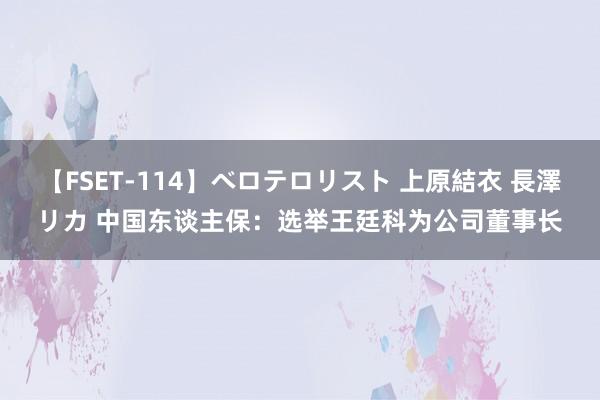 【FSET-114】ベロテロリスト 上原結衣 長澤リカ 中国东谈主保：选举王廷科为公司董事长