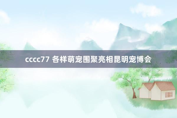 cccc77 各样萌宠围聚亮相昆明宠博会