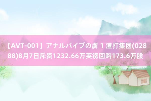 【AVT-001】アナルバイブの虜 1 渣打集团(02888)8月7日斥资1232.66万英镑回购173.6万股