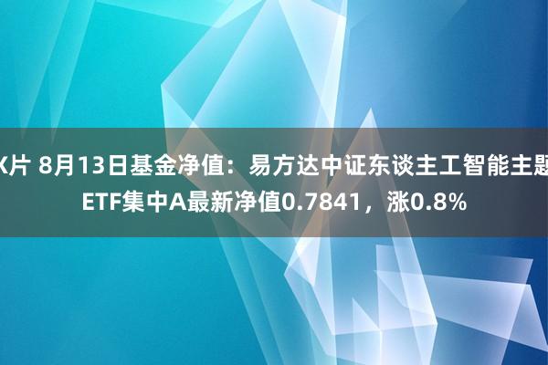 X片 8月13日基金净值：易方达中证东谈主工智能主题ETF集中A最新净值0.7841，涨0.8%