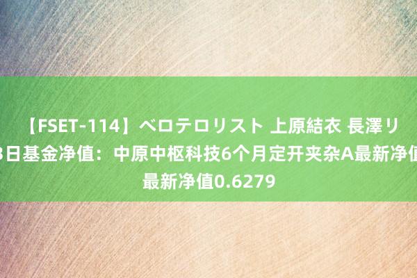 【FSET-114】ベロテロリスト 上原結衣 長澤リカ 8月13日基金净值：中原中枢科技6个月定开夹杂A最新净值0.6279