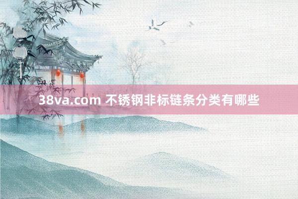 38va.com 不锈钢非标链条分类有哪些