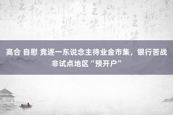 高合 自慰 竞逐一东说念主待业金市集，银行苦战非试点地区“预开户”