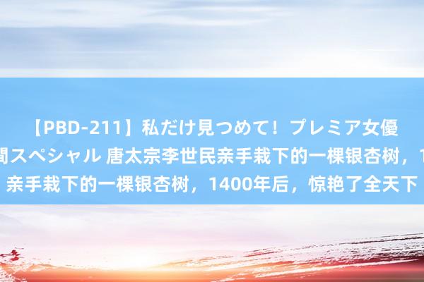 【PBD-211】私だけ見つめて！プレミア女優と主観でセックス8時間スペシャル 唐太宗李世民亲手栽下的一棵银杏树，1400年后，惊艳了全天下