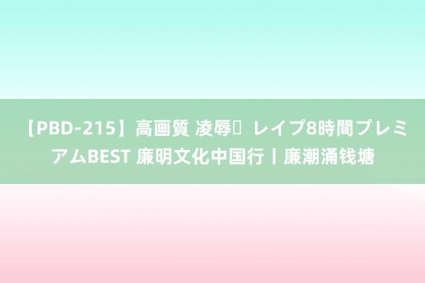 【PBD-215】高画質 凌辱・レイプ8時間プレミアムBEST 廉明文化中国行丨廉潮涌钱塘