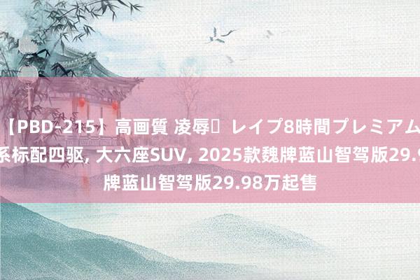 【PBD-215】高画質 凌辱・レイプ8時間プレミアムBEST 全系标配四驱， 大六座SUV， 2025款魏牌蓝山智驾版29.98万起售