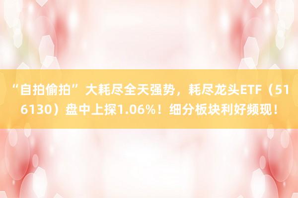 “自拍偷拍” 大耗尽全天强势，耗尽龙头ETF（516130）盘中上探1.06%！细分板块利好频现！