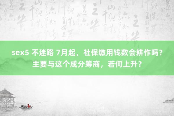 sex5 不迷路 7月起，社保缴用钱数会耕作吗？主要与这个成分筹商，若何上升？