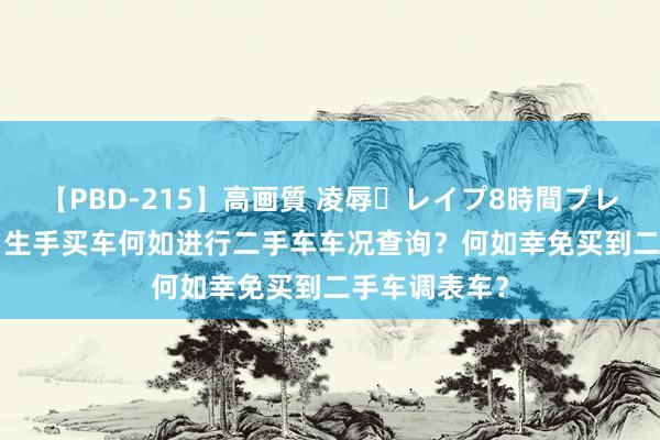 【PBD-215】高画質 凌辱・レイプ8時間プレミアムBEST 生手买车何如进行二手车车况查询？何如幸免买到二手车调表车？