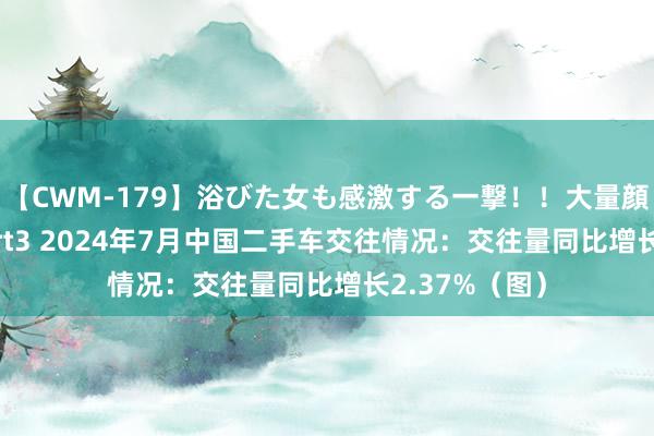 【CWM-179】浴びた女も感激する一撃！！大量顔射！！！ Part3 2024年7月中国二手车交往情况：交往量同比增长2.37%（图）