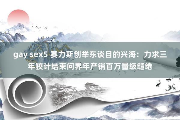 gay sex5 赛力斯创举东谈目的兴海：力求三年狡计结束问界年产销百万量级缱绻