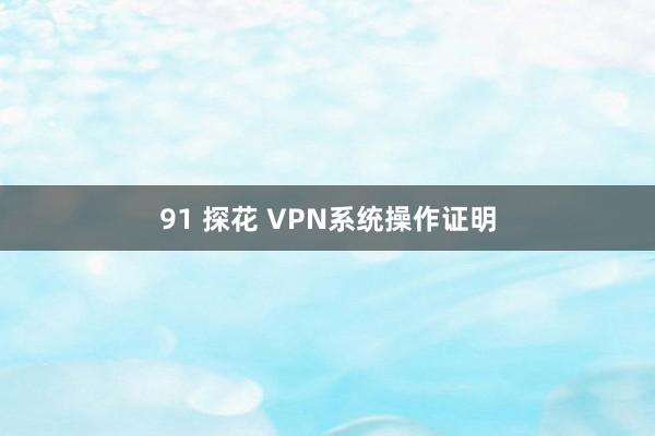 91 探花 VPN系统操作证明