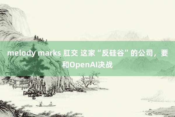 melody marks 肛交 这家“反硅谷”的公司，要和OpenAI决战