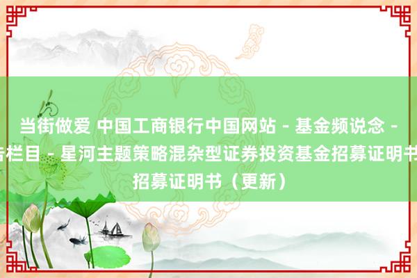 当街做爱 中国工商银行中国网站－基金频说念－基金公告栏目－星河主题策略混杂型证券投资基金招募证明书（更新）