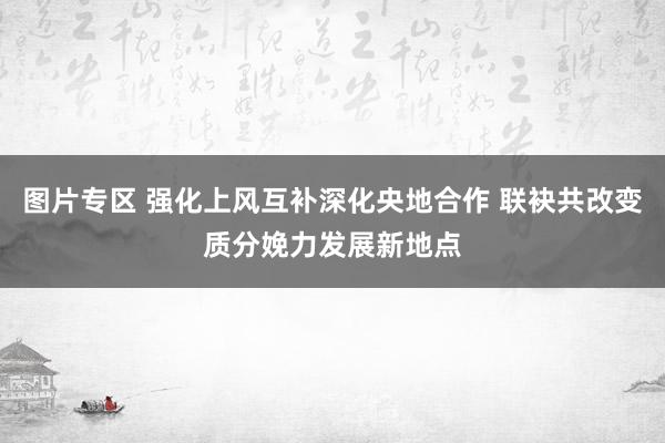 图片专区 强化上风互补深化央地合作 联袂共改变质分娩力发展新地点