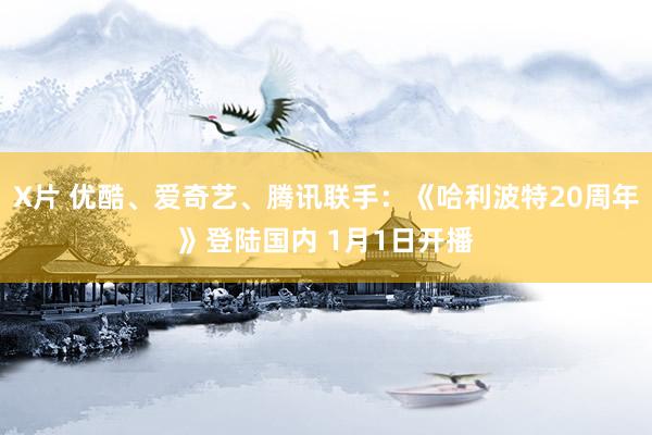 X片 优酷、爱奇艺、腾讯联手：《哈利波特20周年》登陆国内 1月1日开播